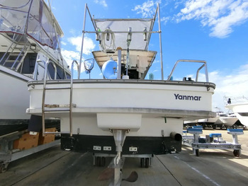 thumb_094353-yanmar-de37bfp