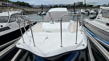 thumb_094383-yamaha-yfr-24