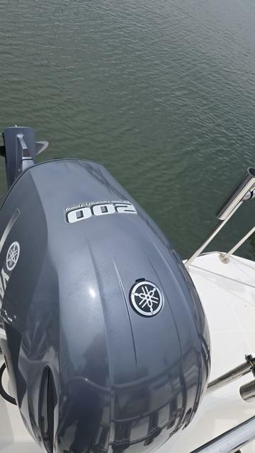 banner_094383-yamaha-yfr-24
