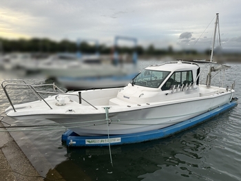 thumb_094412-yanmar-lf30z