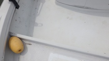 thumb_094417-yanmar-zg26