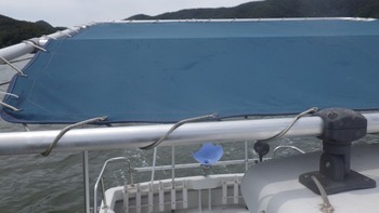 thumb_094417-yanmar-zg26