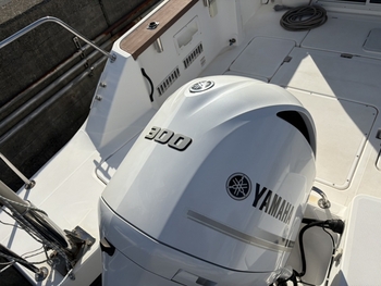 thumb_094427-yamaha-yfr-27ex