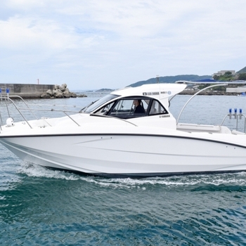 thumb_094430-yamaha-yfr-24
