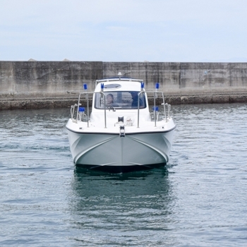 thumb_094430-yamaha-yfr-24