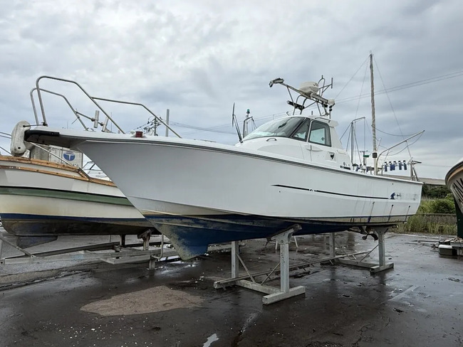 medium_094435-yanmar-ex26