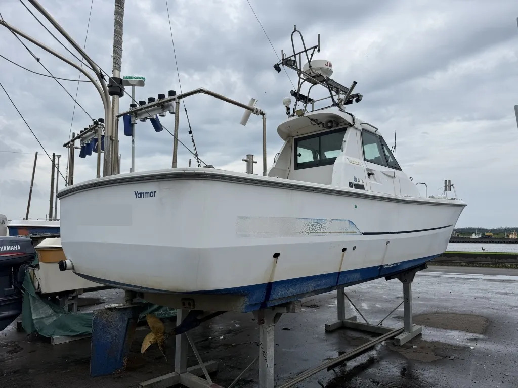 banner_094435-yanmar-ex26