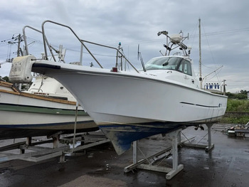 thumb_094435-yanmar-ex26