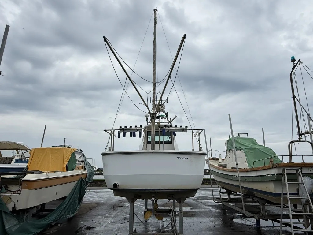 banner_094435-yanmar-ex26