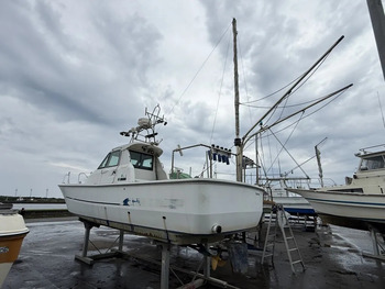 thumb_094435-yanmar-ex26
