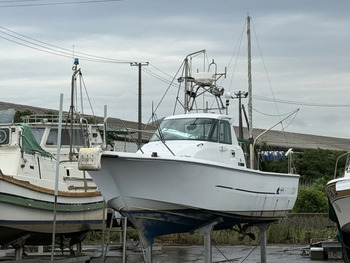 thumb_094435-yanmar-ex26