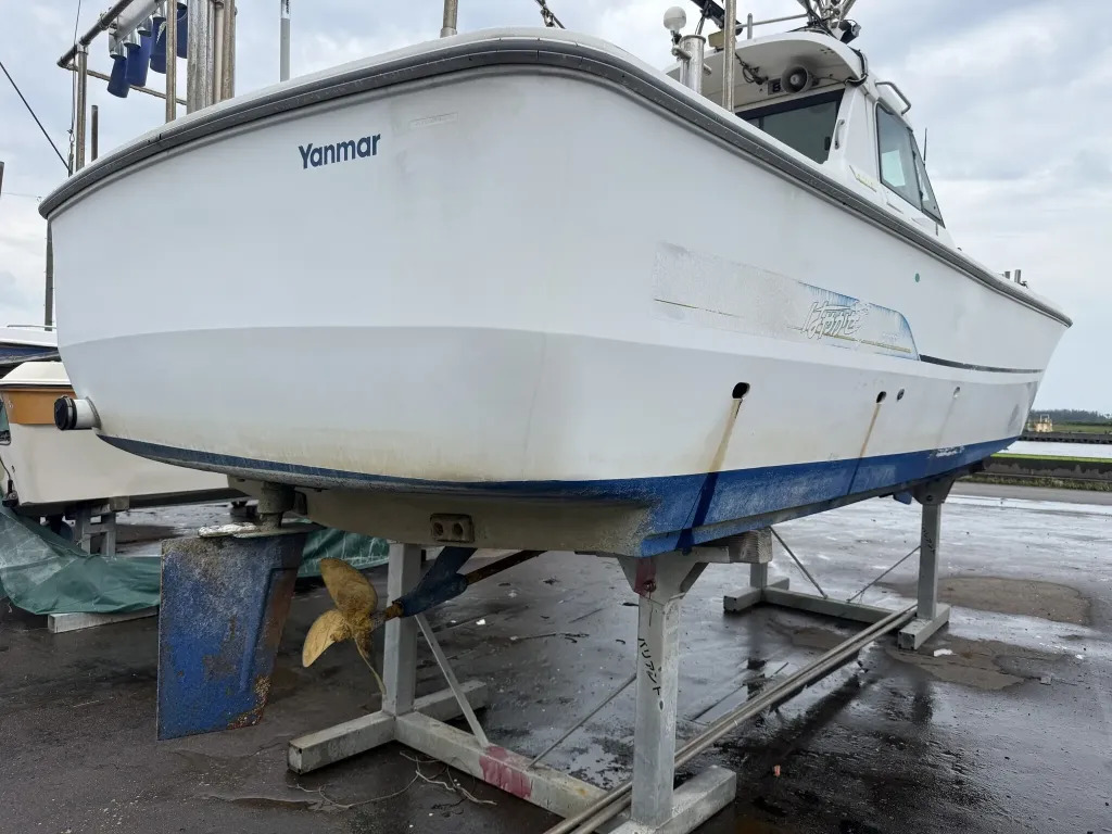 banner_094435-yanmar-ex26