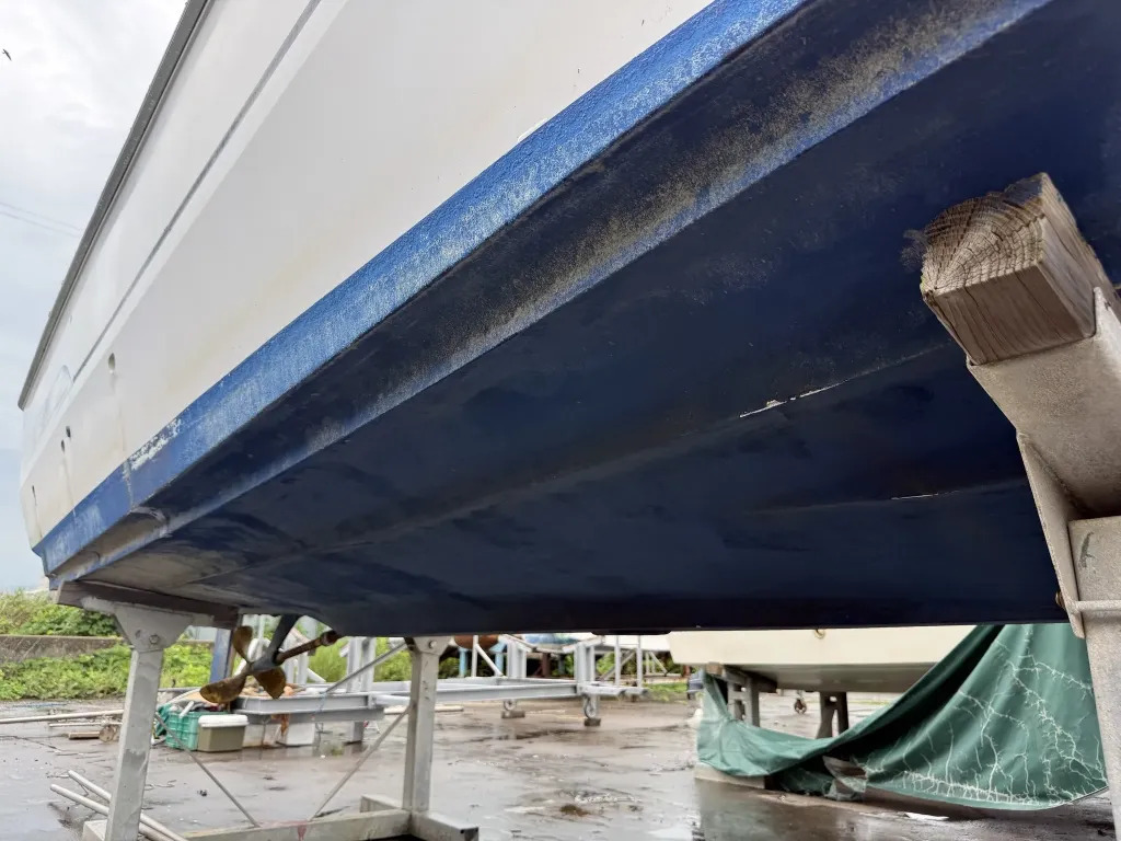 banner_094435-yanmar-ex26