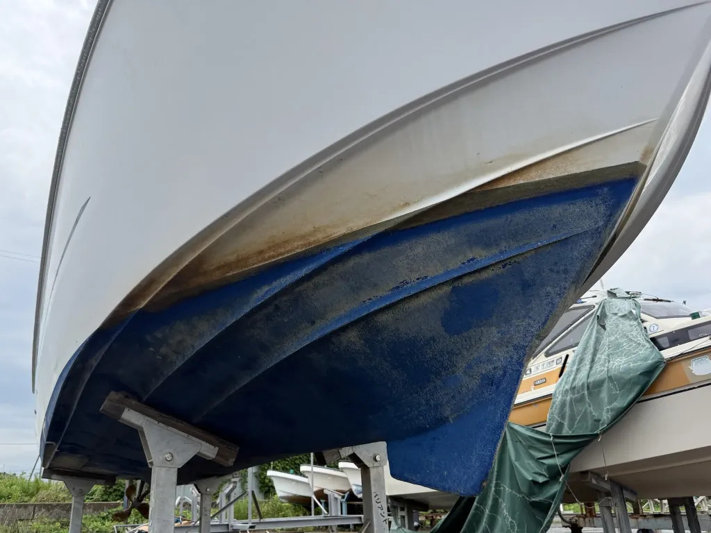 banner_094435-yanmar-ex26