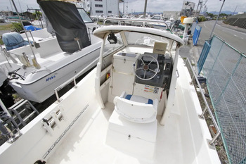 thumb_094462-nissan-wing-fisher-21