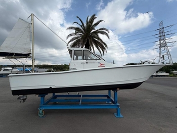 thumb_094472-yanmar-lf23zii