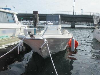 thumb_094513-suzuki-ff210
