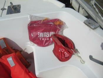thumb_094513-suzuki-ff210