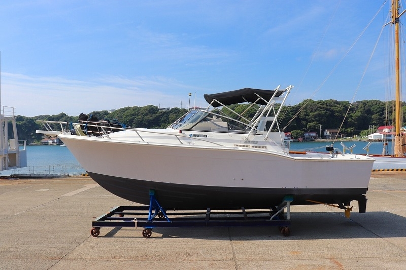 banner_094534-blackfin-31-combi