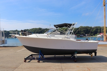 thumb_094534-blackfin-31-combi