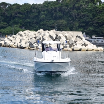 thumb_094549-yamaha-sr-x