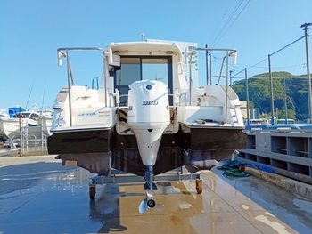 thumb_094558-yamaha-s-qualo