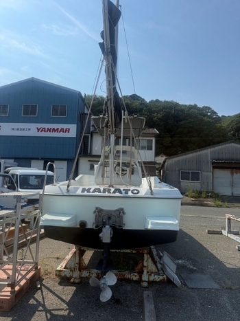 thumb_094605-yanmar-lf24z