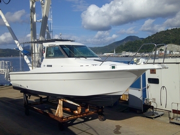 thumb_094611-yanmar-fx24cz-is