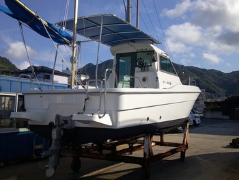 thumb_094611-yanmar-fx24cz-is
