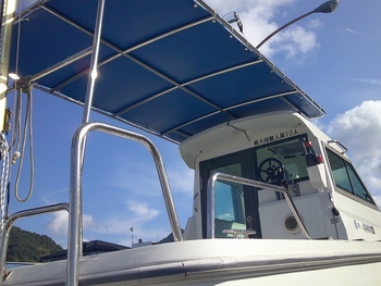 thumb_094611-yanmar-fx24cz-is