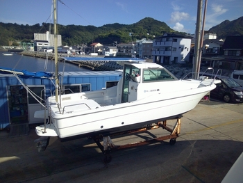 thumb_094611-yanmar-fx24cz-is
