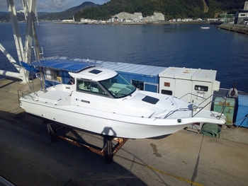 thumb_094611-yanmar-fx24cz-is