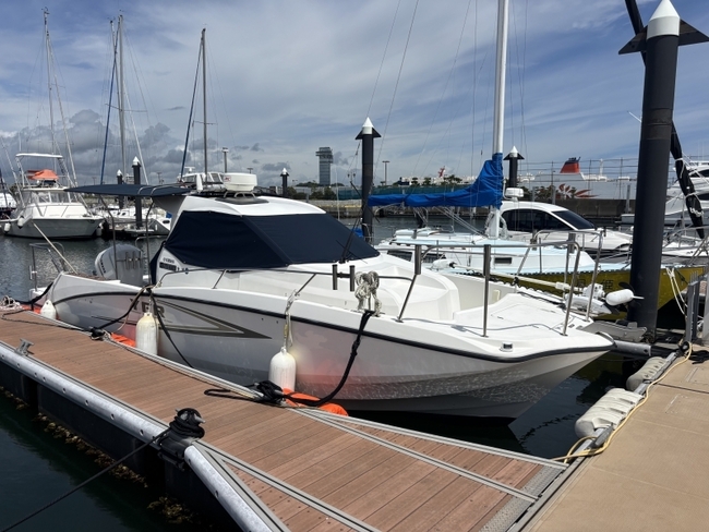 medium_094609-yamaha-yfr-27