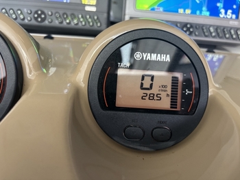 thumb_094609-yamaha-yfr-27