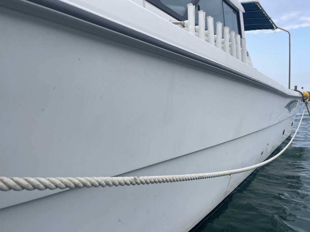 banner_094618-yanmar-ex29