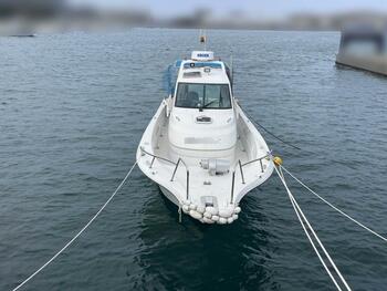thumb_094618-yanmar-ex29
