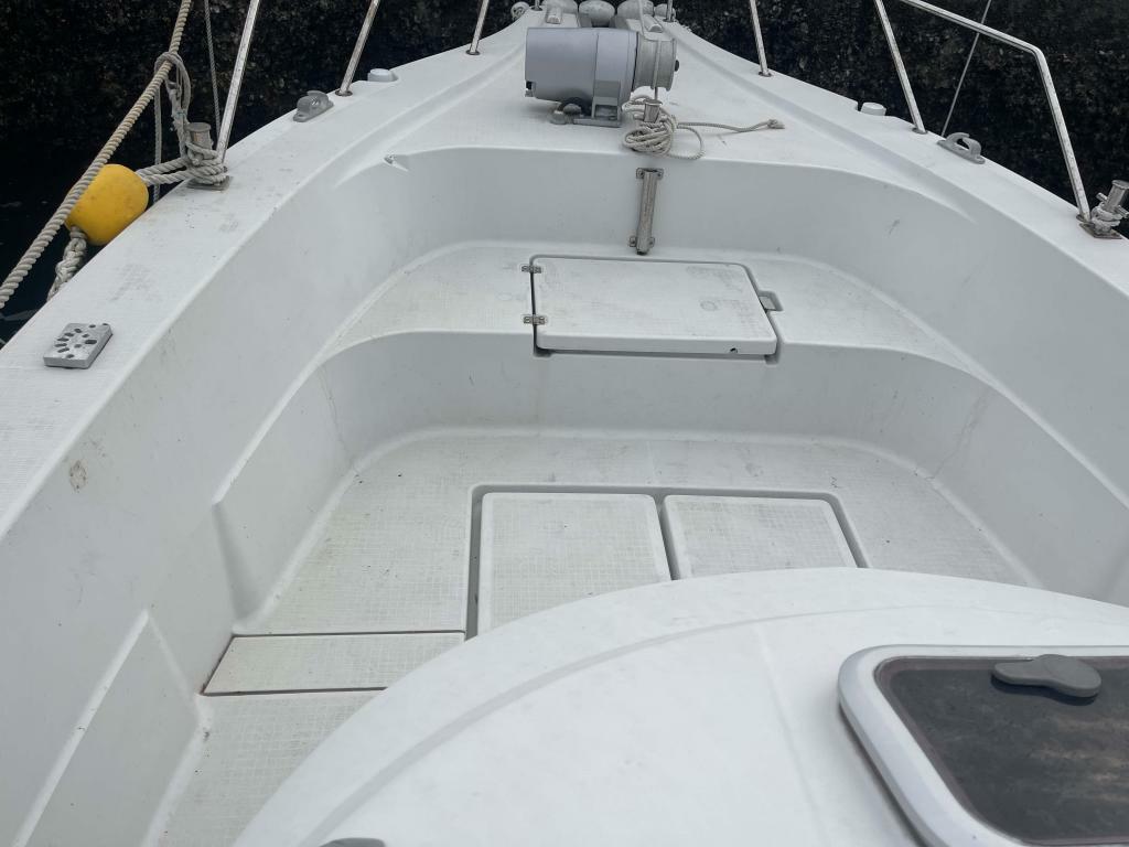 banner_094618-yanmar-ex29