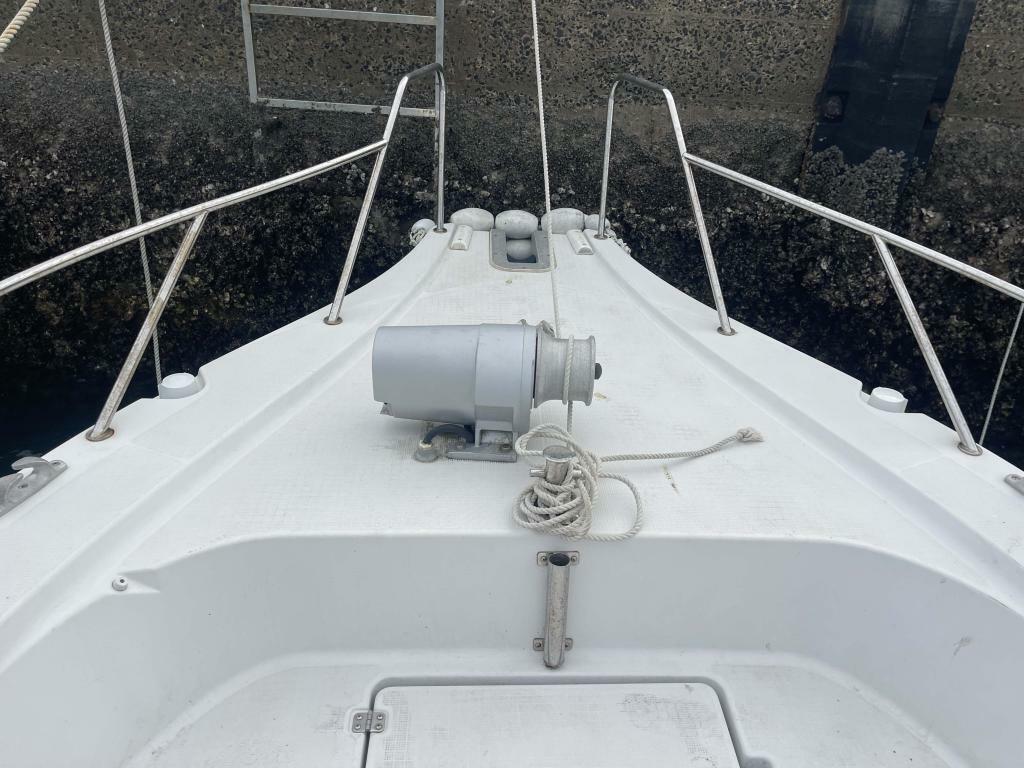 banner_094618-yanmar-ex29