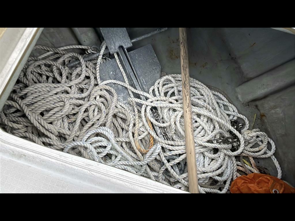 banner_094618-yanmar-ex29