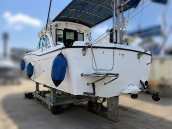 thumb_094627-yamaha-fr-32-ex