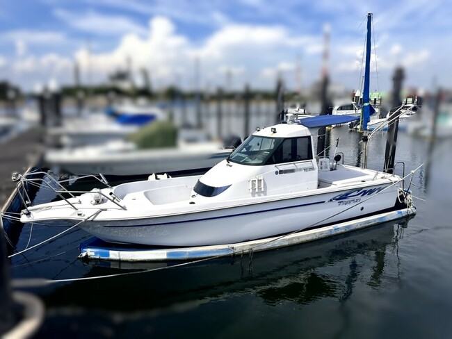 medium_094664-yanmar-fx24bz