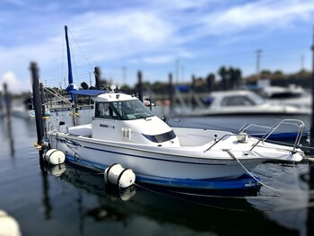 thumb_094664-yanmar-fx24bz