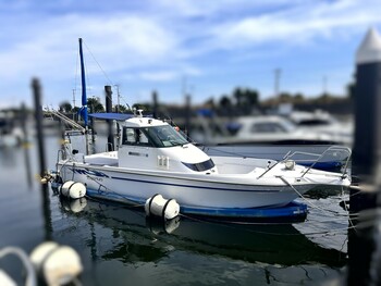 thumb_094664-yanmar-fx24bz