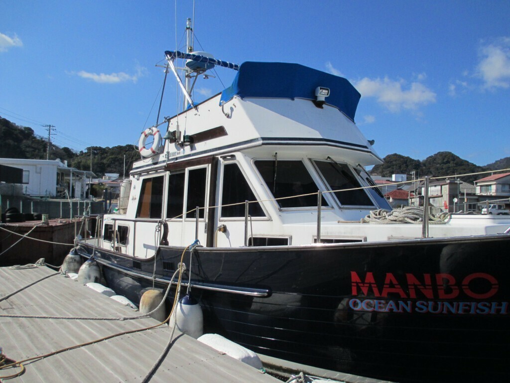 banner_094666-island-gypsy-36