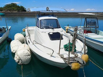 thumb_094683-yanmar-ef20zb
