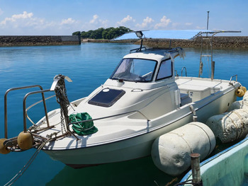thumb_094683-yanmar-ef20zb