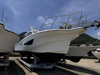 thumb_094700-yanmar-ex38a