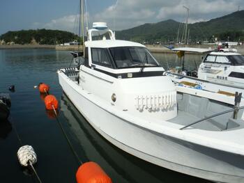 thumb_094705-yamaha-fg-36