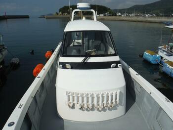 thumb_094705-yamaha-fg-36