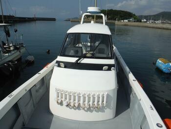thumb_094705-yamaha-fg-36